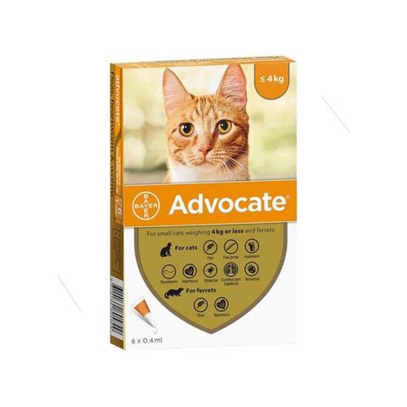 Advocate Pipeta Antipulgas Gatos Hasta 4Kg