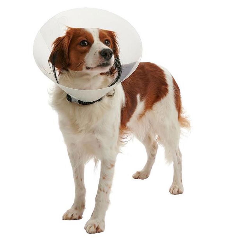 6883da235f9a0.png