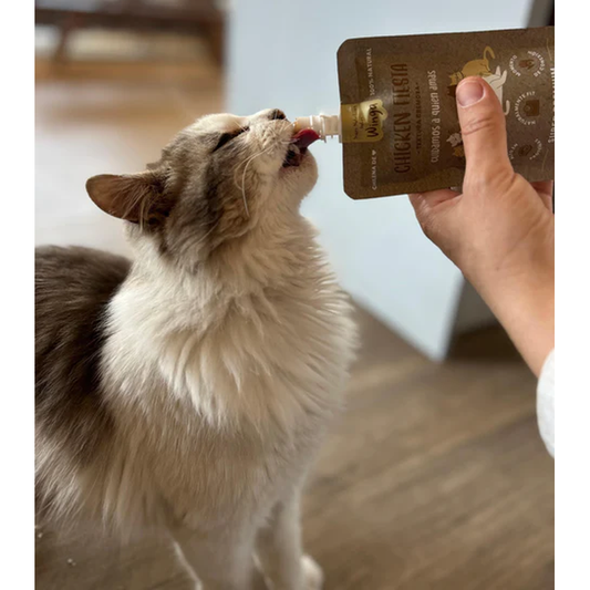 Winga Pouch Para Gatos 90g