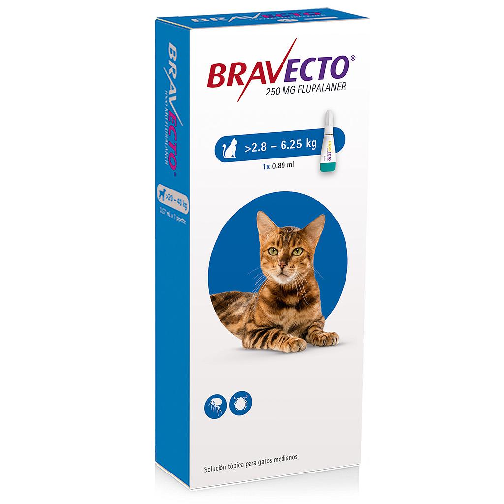 Antiparasitario Bravecto De 2.8 A 6.25Kg Para Gatos 1 Pipeta.