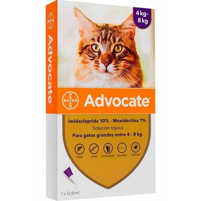 Advocate Antiparasitario Externo E Interno Gato De 4Kg A 8Kg