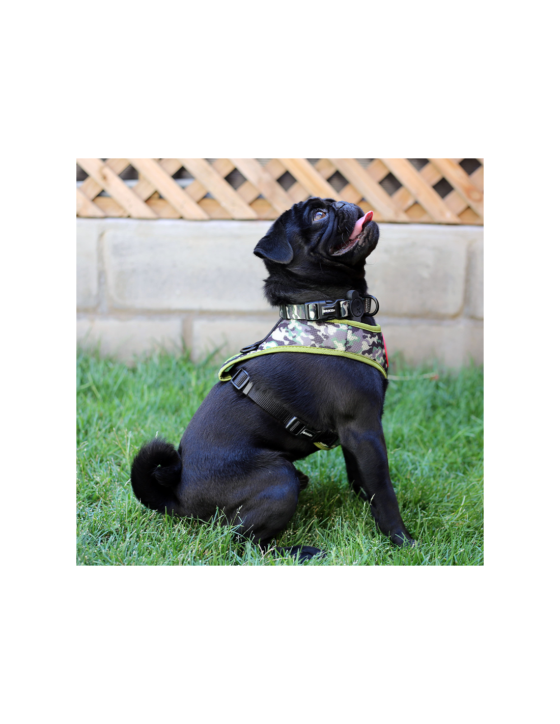 Brnx Arnes Camuflaje Perro Talla M