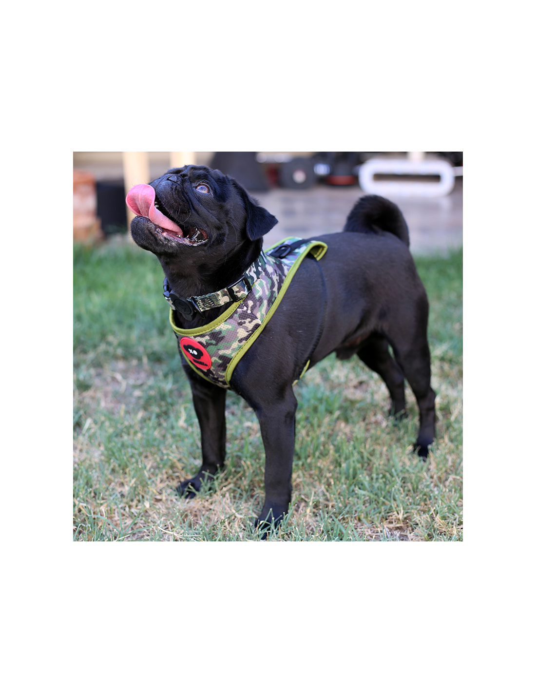 Brnx Arnes Camuflaje Perro Talla M