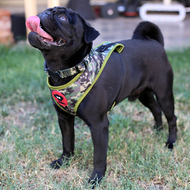 Brnx Arnes Camuflaje Talla S