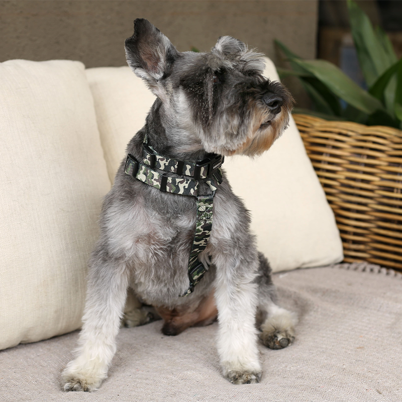 Brnx Arnes Dog H Camuflaje Talla S