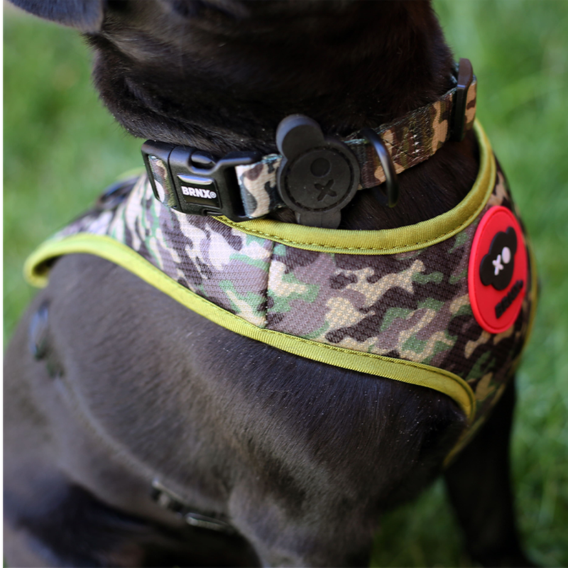 Brnx Collar Dog Forest Pink Talla S