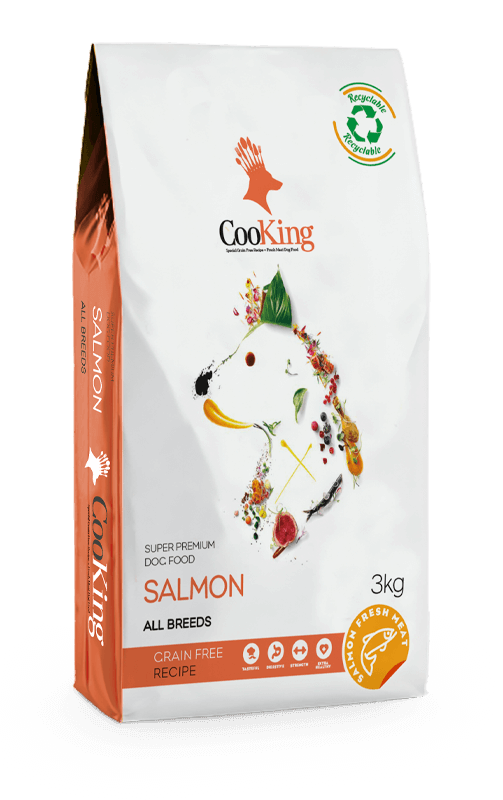 Cooking Adult Dog Salmon