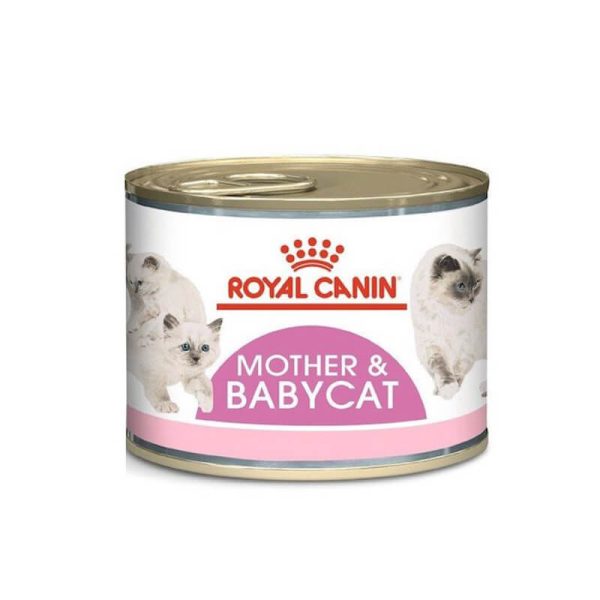 Royal Canin Babycat Enlatado 145grs