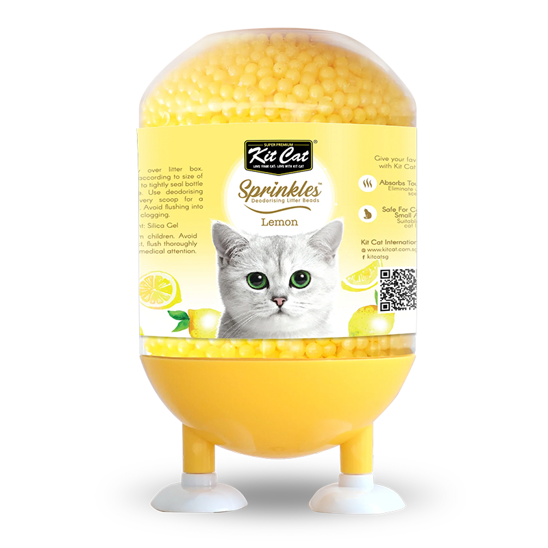 OdooVariant:4036