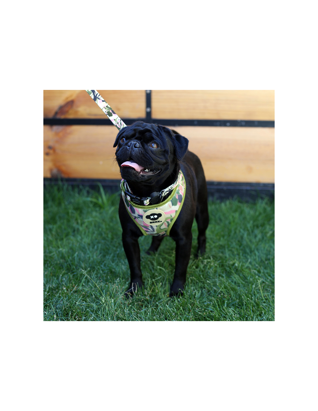 Brnx Arnes Dog Forest Pink Talla S