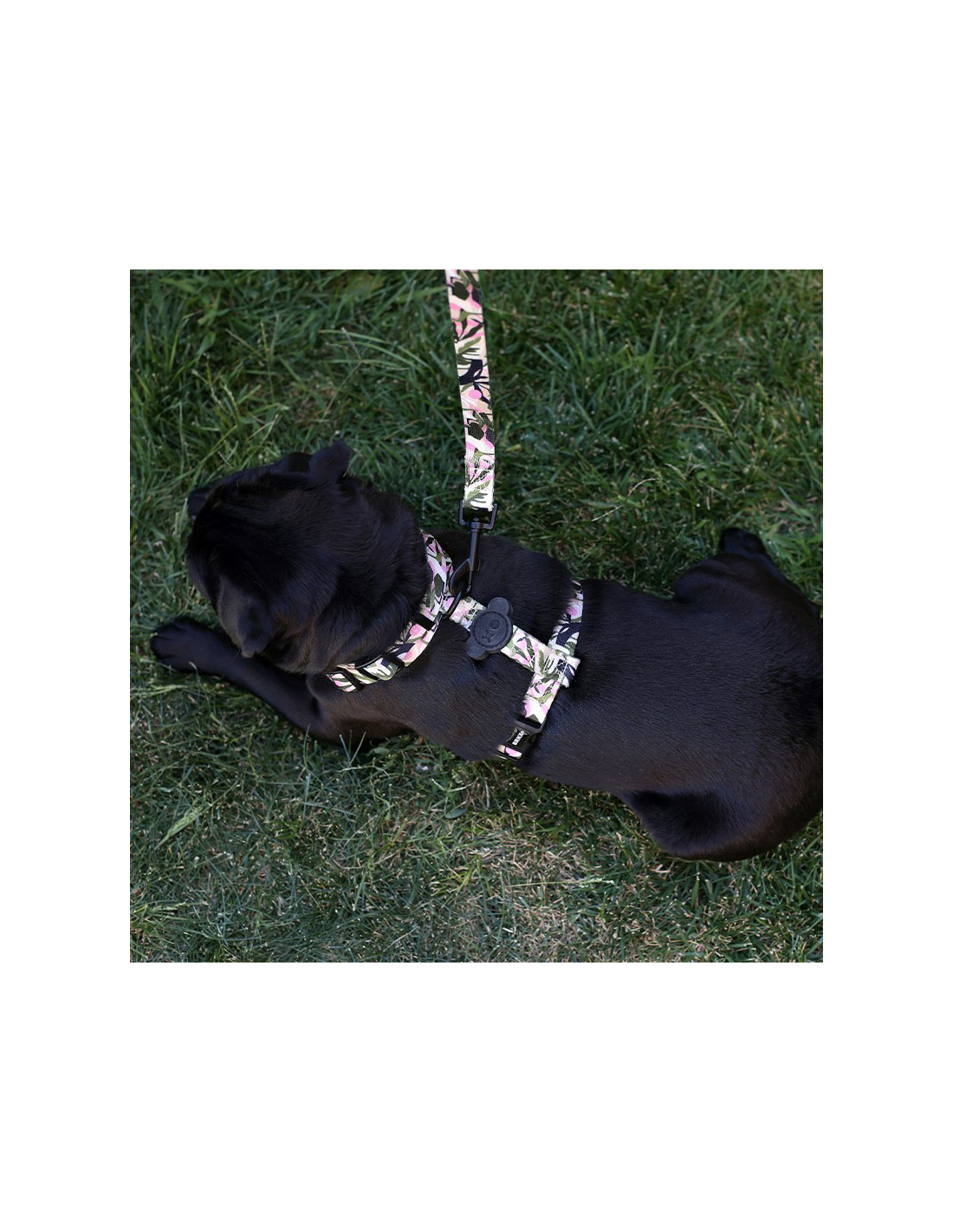 Brnx Arnes Dog H Forest Pink Talla M