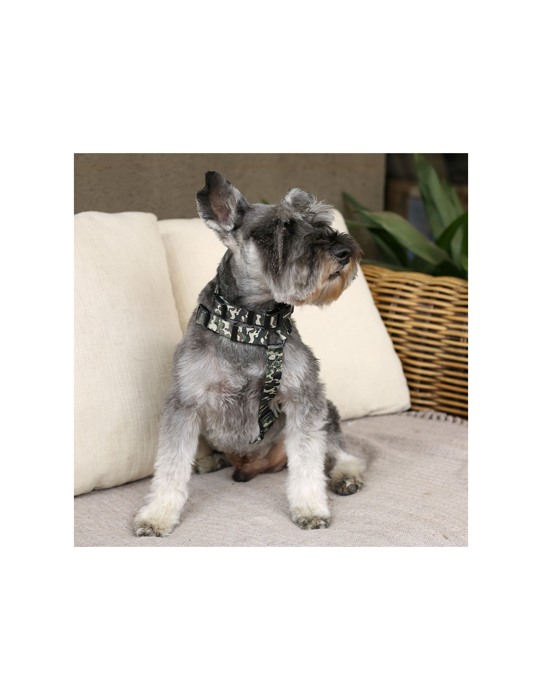 Brnx Arnes H Dog  Camuflaje Talla M
