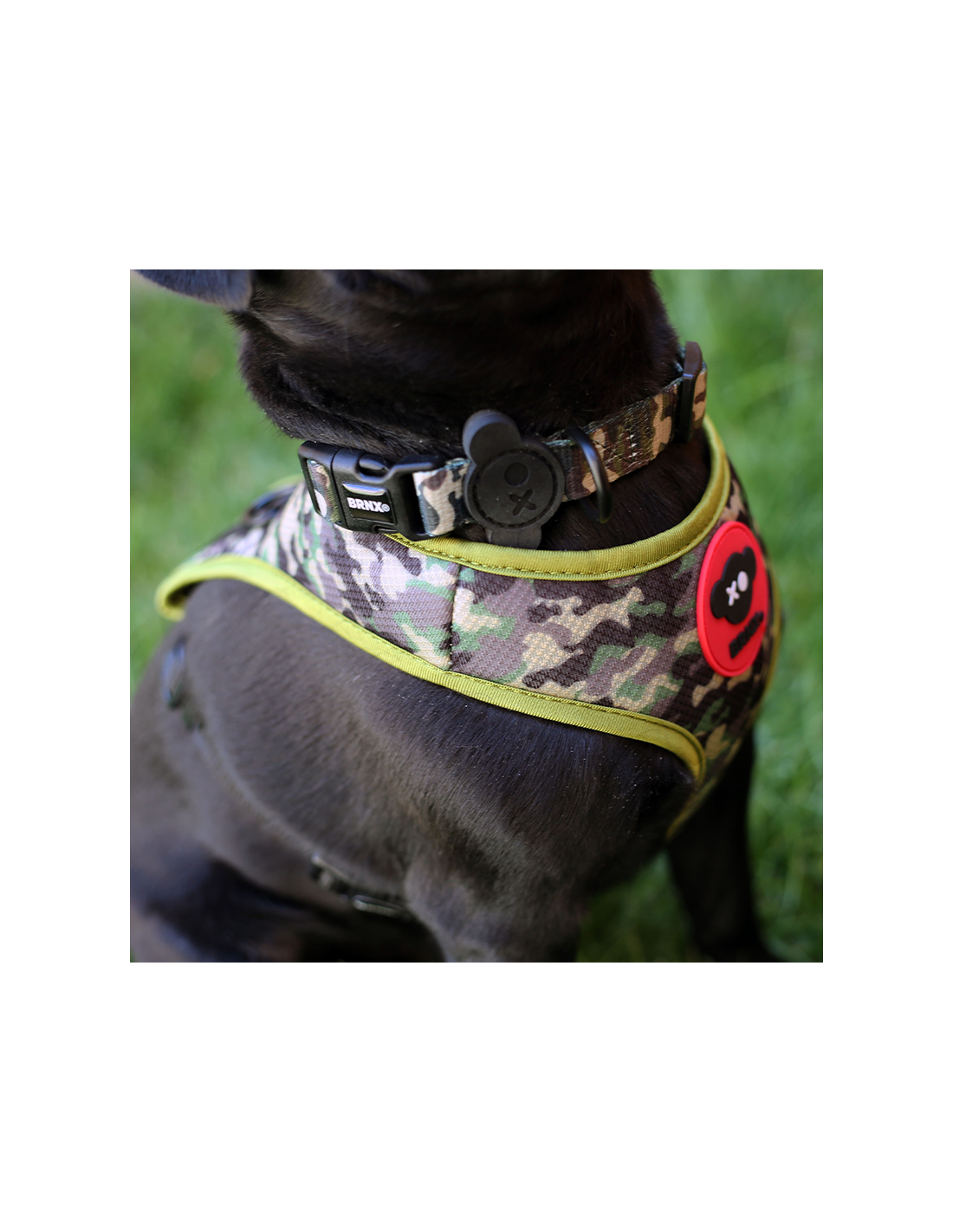 Brnx Collar Dog Camuflaje Talla L