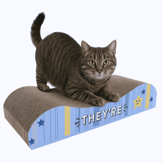 Rascador Carton Estilo Sofa Para Gatos