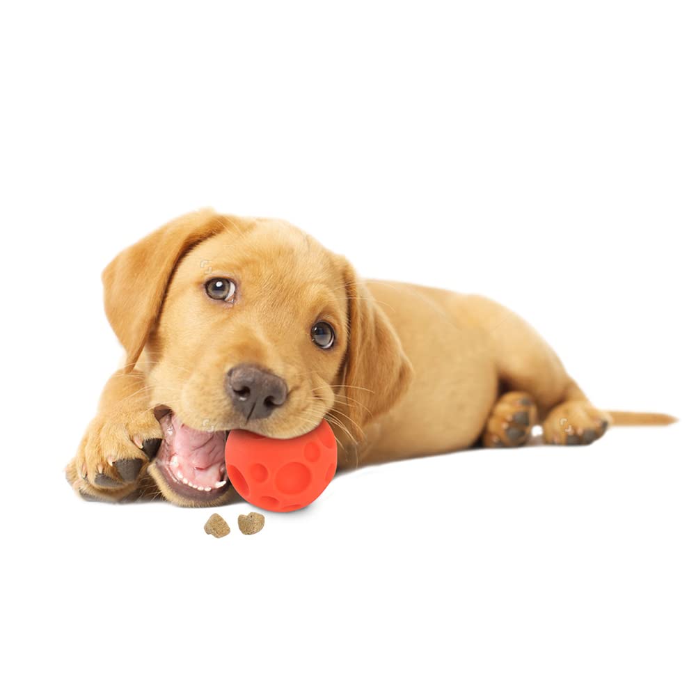 Omega Paw Tricky treat Ball - Pelota Para Premios