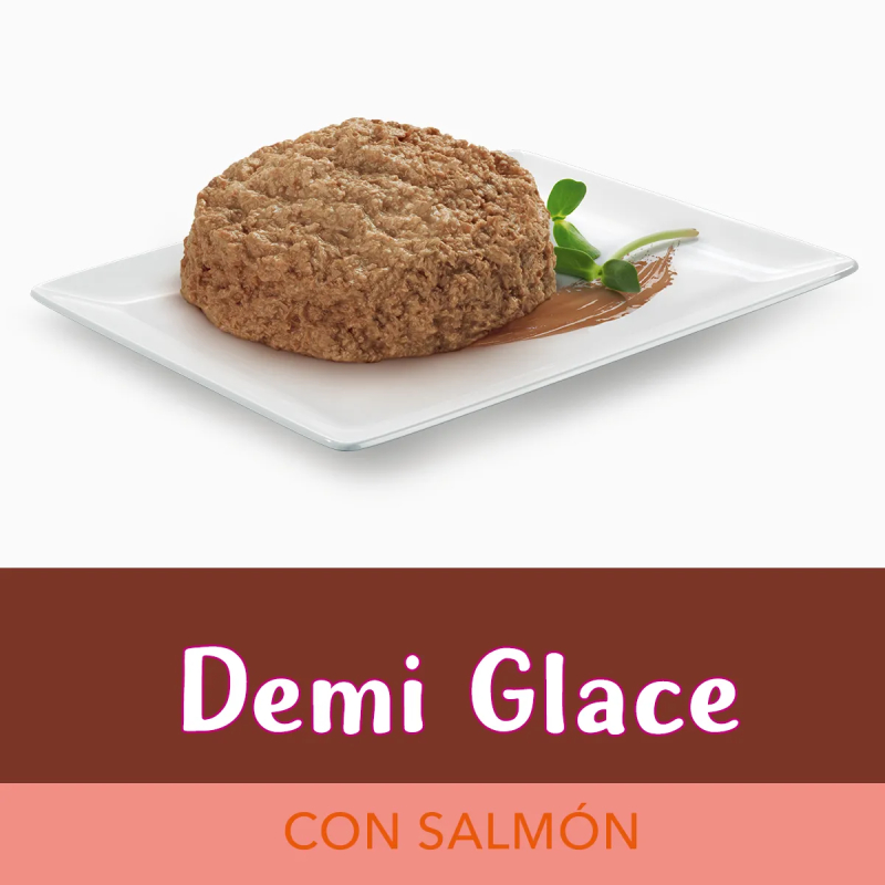 Fancy Pouch Demi Glace Salmón 85gr