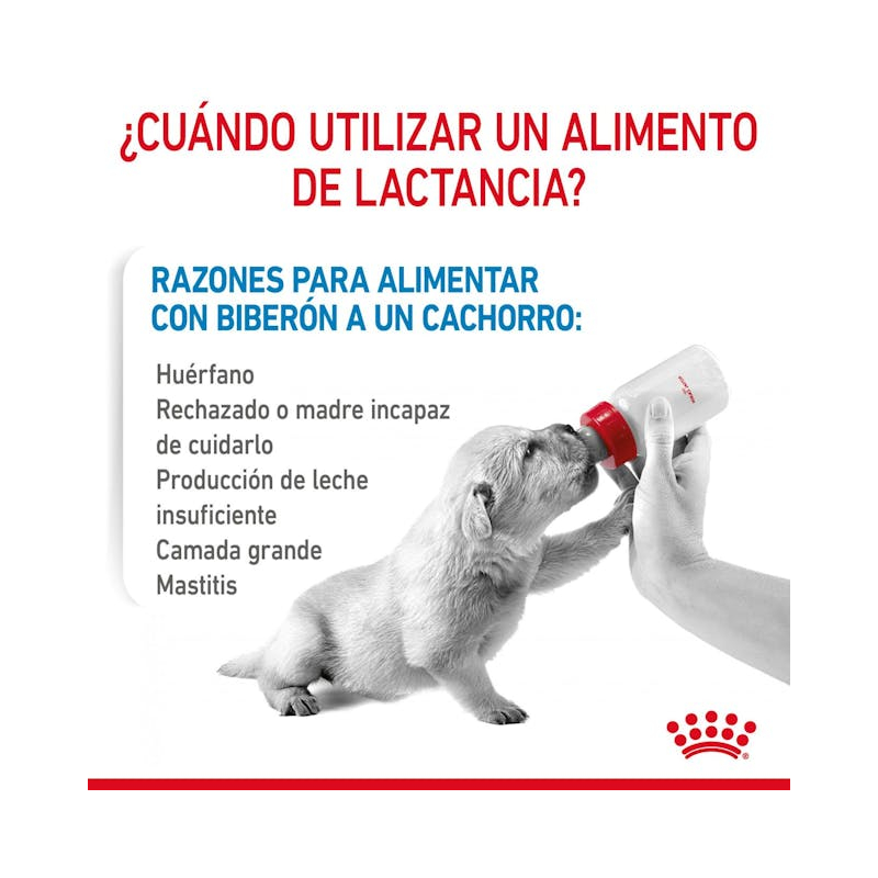 Royal Canin Babydog Milk 400Gr