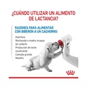 Royal Canin Babydog Milk 400Gr