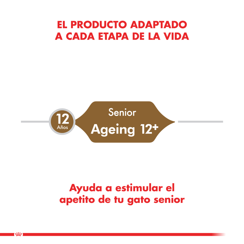 ROYAL CANIN AGEING 12+ CAT 2KG