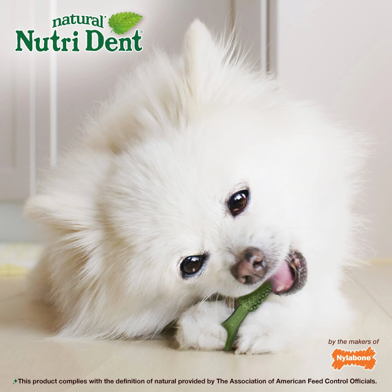 Nylabone Nutri Dent Mini Cepillos Dentales Tamaño XS 160Unidades para Perros