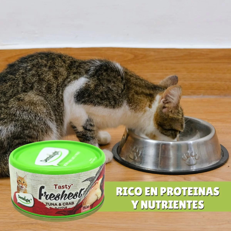 Pack 6 Latitas de Dentalight Tasty Freshest Para Gatos 80G