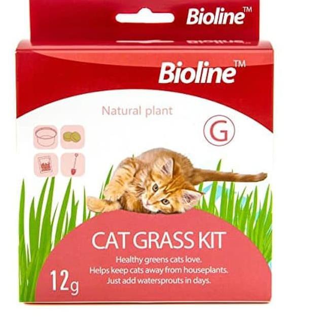 Bioline Cat Grass Kit - Hierba Para  Gatos 12Gr