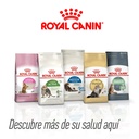 ROYAL CANIN STERILISED CAT 