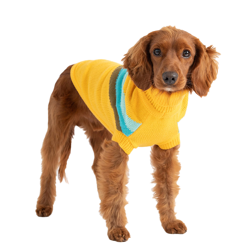 GF PET SWEATER ALPINE AMARILLO