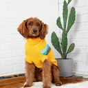 GF PET SWEATER ALPINE AMARILLO