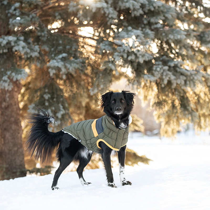 GF PET CHAQUETA ALPINE PUFFER DARK KHAKI