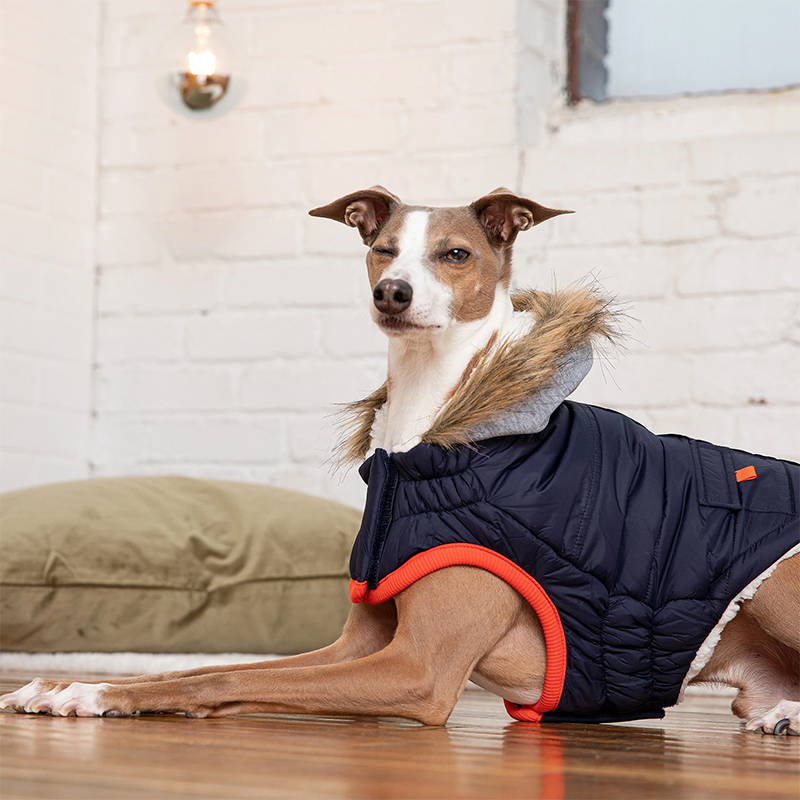 GF PET PARKA WINTER SAILOR AZUL