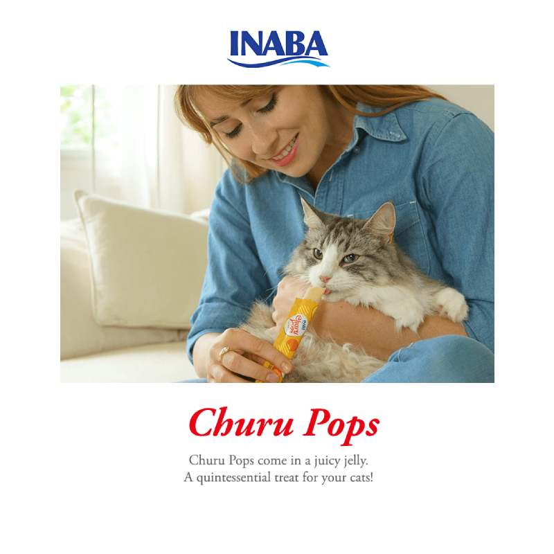 CIAO CHURU POPS TUNA RECIPE CAT - SNACK RECETA DE ATUN 60G