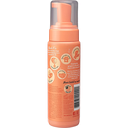 Pet Head Foam Peach - Shampoo En Seco 200ML