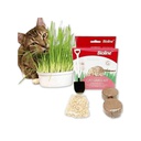 Bioline Cat Grass Kit - Hierba Gatera 12Gr