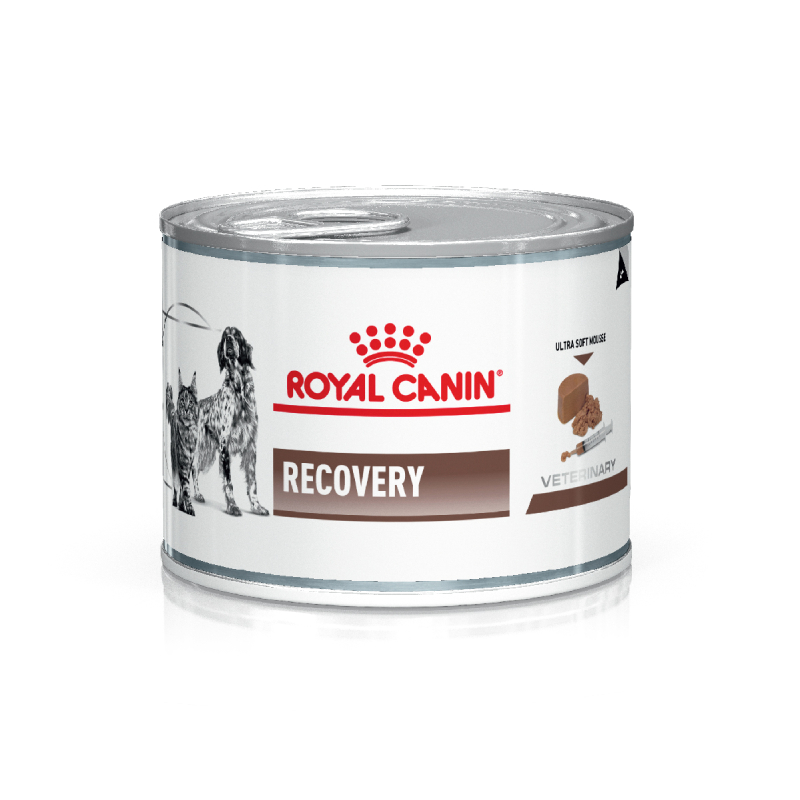 Royal Canin Recovery Lata 145G