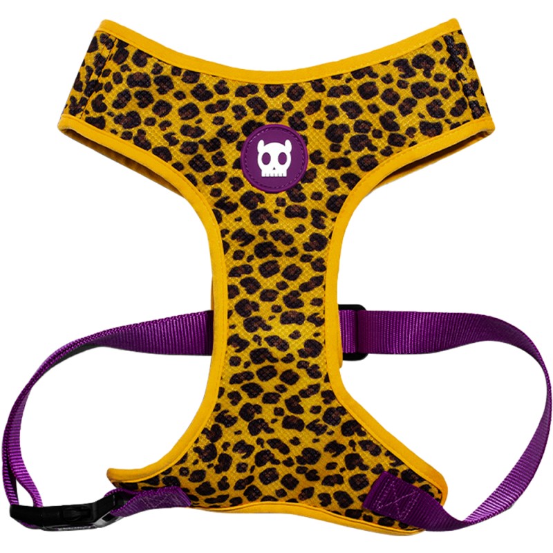 Zeedog Honey Air Mesh Plus Arnes