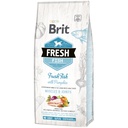 BRIT FRESH FISH WITH PUMPKIN ADULT LARGE BREED
