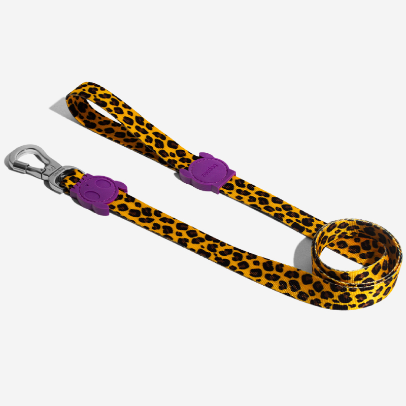 Zeedog Honey Leash Correa