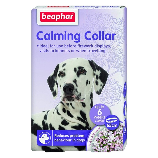 [370] Calming Collar Dog