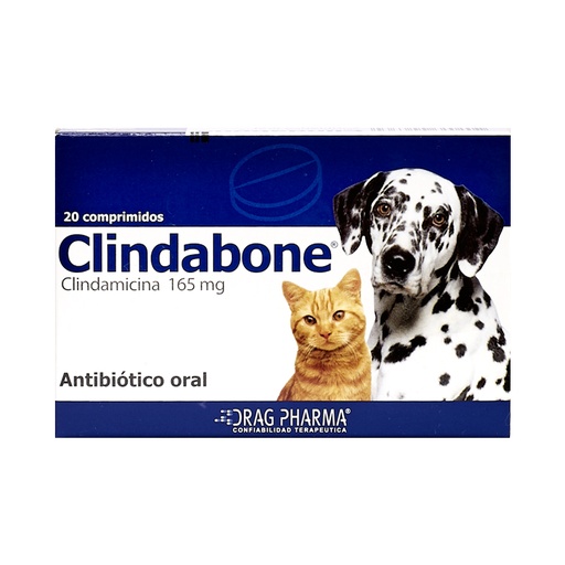 [485] Clindabone 20Comp.