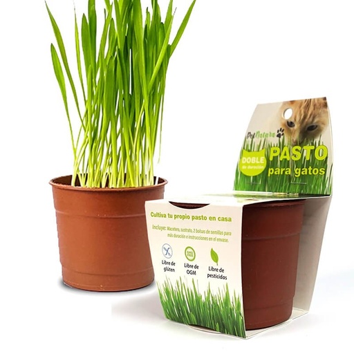 [1438] Pet Natura Kit Pasto Para Gatos Snack