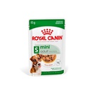 ROYAL CANIN MINI ADULT POUCH 85G