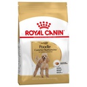 ROYAL CANIN POODLE ADULT 3KG