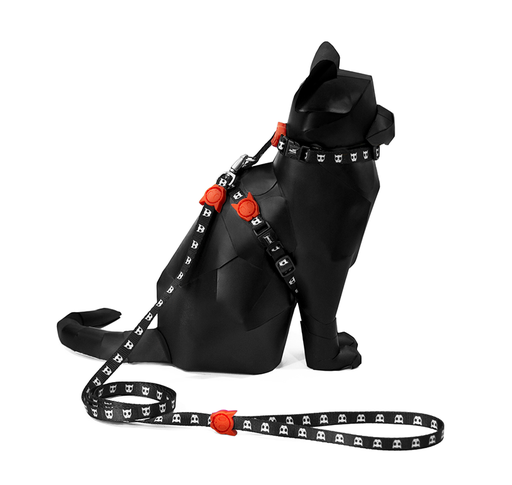 [1933] Zeecat Skull Arnes Correa Set Cat