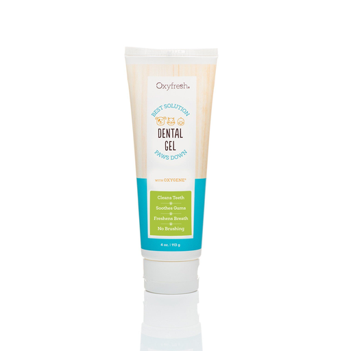 [1349] Oxyfresh Gel Dental 113G