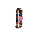 ZEEDOG COLLAR CHROMA MEDIUM