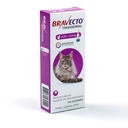 Antiparasitario Bravecto De 6,25 A 12,5Kg Para Gatos 1 Pipeta