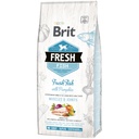 Brit Fresh Fish With Pumpkin Adult Large Breed