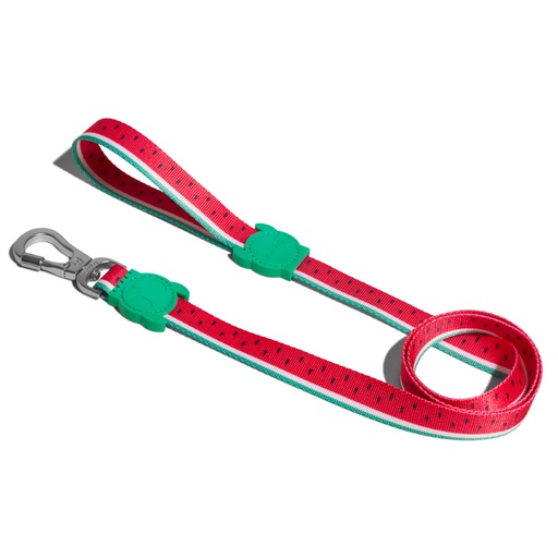 [2044] Zeedog Lola Leash Correa