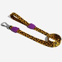 Zeedog Honey Leash Correa